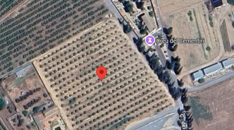 Tarragona - Benissanet - 12490m2
