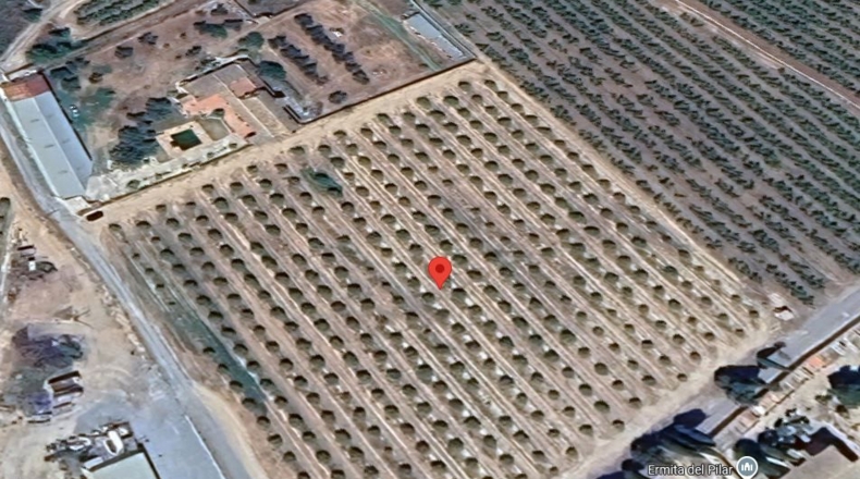Tarragona - Benissanet - 12490m2