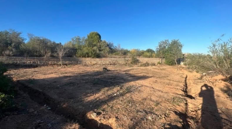 Valencia - Villamarchante - 2043m2