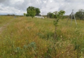 Non-developable land for rent on España, Madrid, ref: TR411664 photo