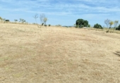Non-developable land for rent on España, Madrid, ref: TR411664 photo