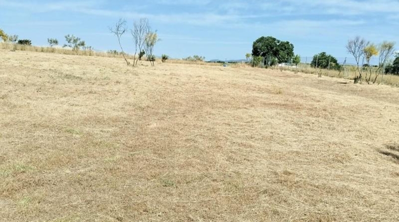 Comunidad de Madrid - Madrid - 61584m2