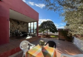 Detached villa with land for rent on España, San Bartolomé de Tirajana, ref: TR219787 photo