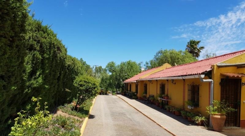 Cádiz - Jerez de la Frontera - 8000m2