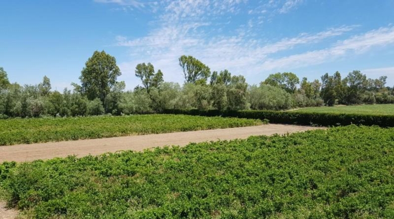 Cádiz - Jerez de la Frontera - 8000m2