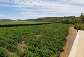Foto 19