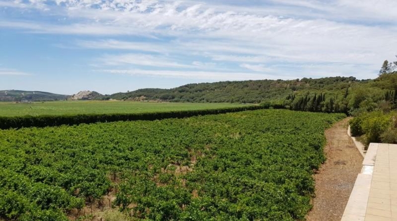 Cádiz - Jerez de la Frontera - 8000m2