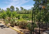 Casa de camp amb terreny en lloguer a la España, Jerez de la Frontera, ref.: TR399020 foto