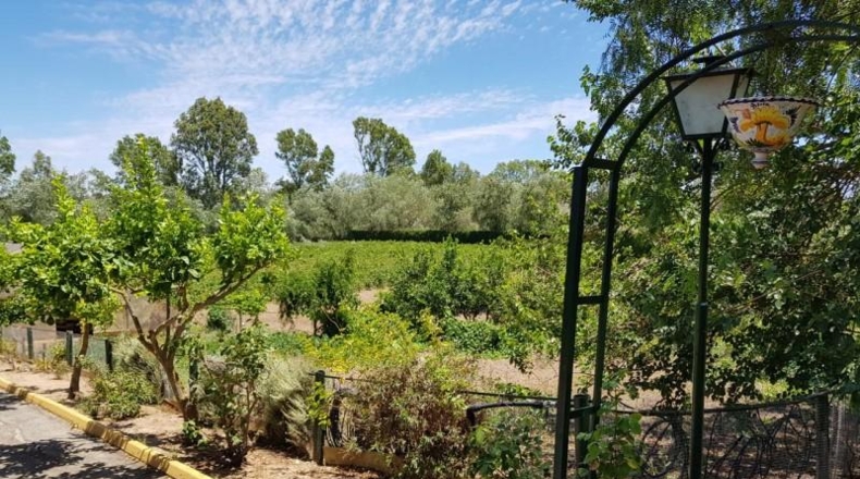 Cádiz - Jerez de la Frontera - 8000m2