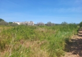 Terreno no urbanizable en venta en la España, Vall d'Alba, ref: TR411044 foto