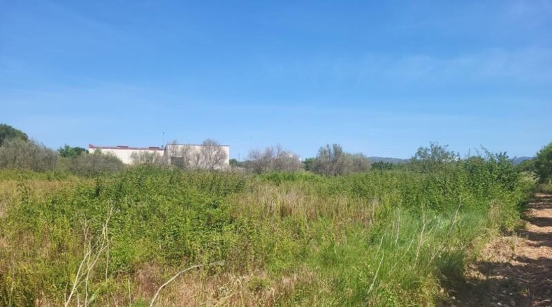 Castellón - Vall d'Alba - 1558m2
