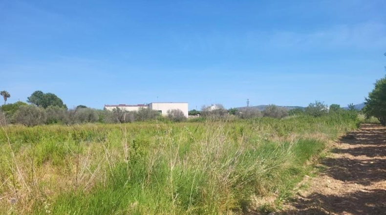 Castellón - Vall d'Alba - 1558m2