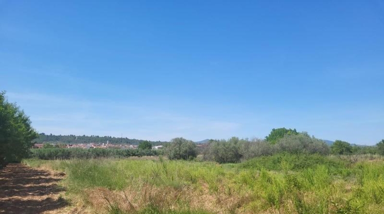 Castellón - Vall d'Alba - 1558m2