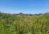 Terreno no urbanizable en venta en la España, Vall d'Alba, ref: TR411044 foto