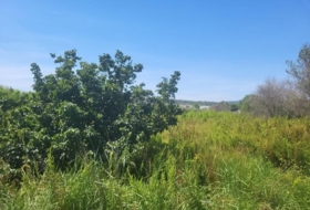 la Vall d'Alba 1558&nbsp;m² 