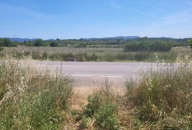 la Vall d'Alba 1558&nbsp;m² 