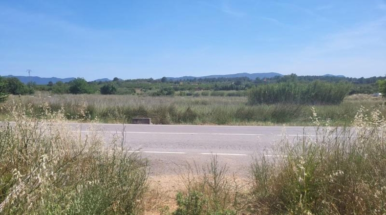 Castellón - Vall d'Alba - 1558m2
