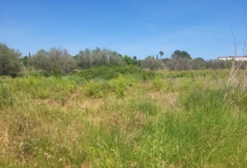 la Vall d'Alba 1558&nbsp;m² 