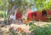 Casa de pueblo en alquiler en la España, Puçol, ref: TR411680 foto