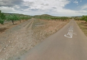 Terreny no urbanitzable en venda a la España, la Vall d'Alba, ref.: TR319441 foto
