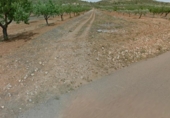 Terreny no urbanitzable en venda a la España, la Vall d'Alba, ref.: TR319441 foto