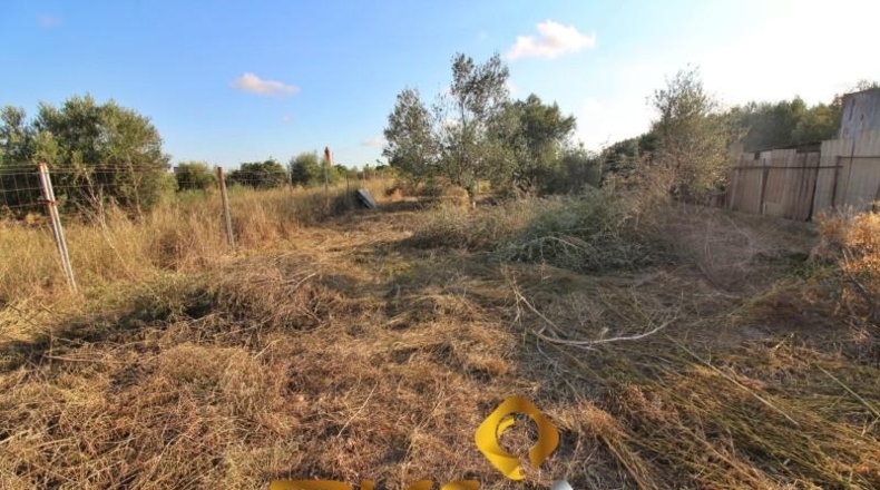 Castellón - Vila-real - 429m2
