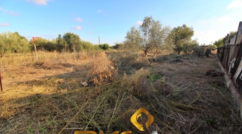 Castellón - Vila-real - 429m2