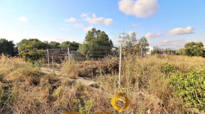 Castellón - Vila-real - 429m2