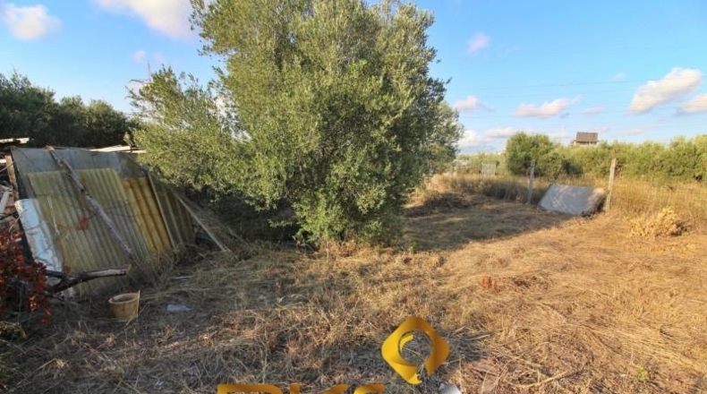 Castellón - Vila-real - 429m2