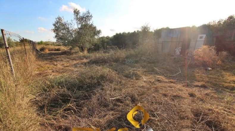 Castellón - Vila-real - 429m2