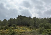 Terreno no urbanizable en venta en la España, Montserrat, ref: TR411050 foto