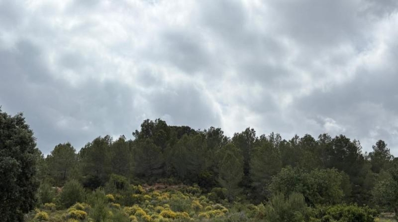 Valencia - Montserrat - 6191m2