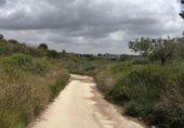 Terreno no urbanizable en venta en la España, Montserrat, ref: TR411050 foto