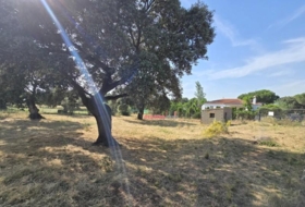 Añora 2182&nbsp;m²