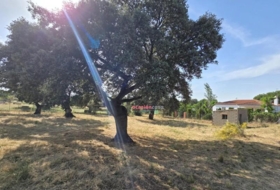 Añora 2182&nbsp;m²