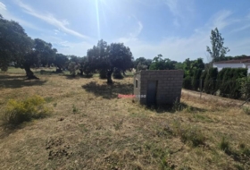 Añora 2182&nbsp;m²