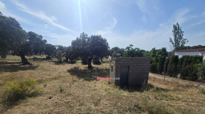 Cordova - Añora - 2182m2