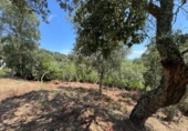 Urban land for sale on España, Llagostera, ref: TR411049 photo