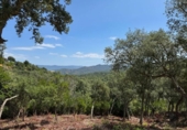 Urban land for sale on España, Llagostera, ref: TR411049 photo