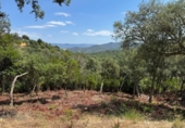 Urban land for sale on España, Llagostera, ref: TR411049 photo