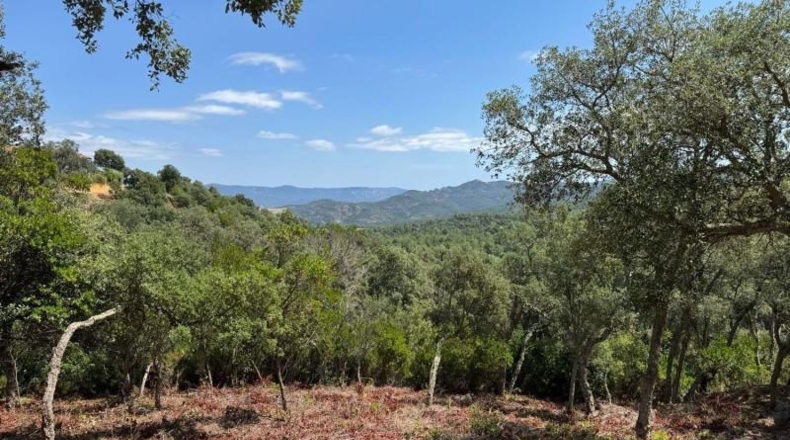 Жирона - Llagostera - 603m2