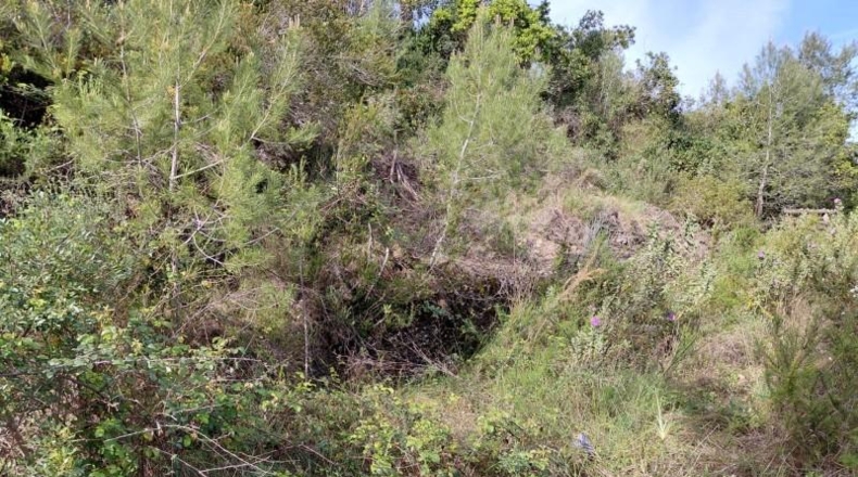 Tarragona - Calafell - 1252m2