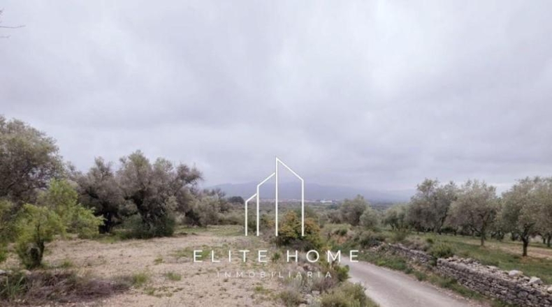 Castellón - Sant Mateu - 20673m2