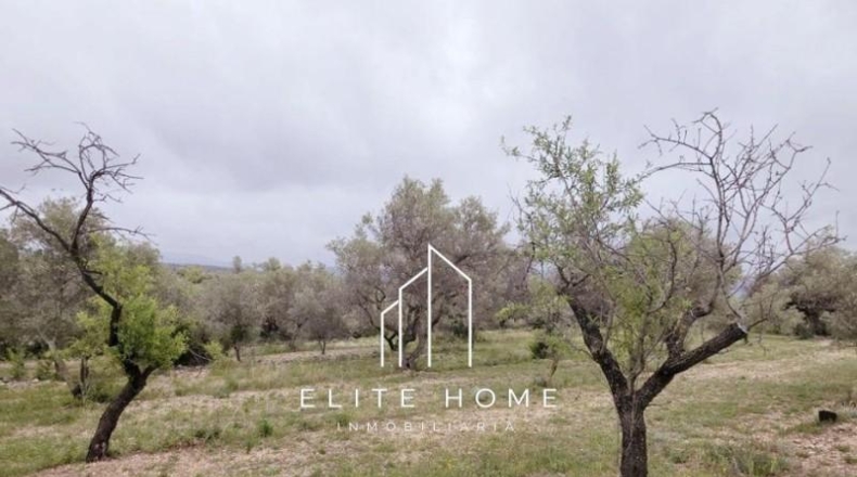 Castellón - Sant Mateu - 20673m2