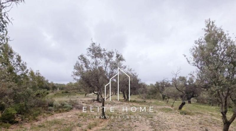 Castellón - Sant Mateu - 20673m2