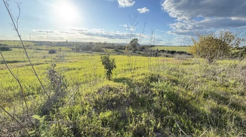 Huelva - Gibraleón - 5324m2