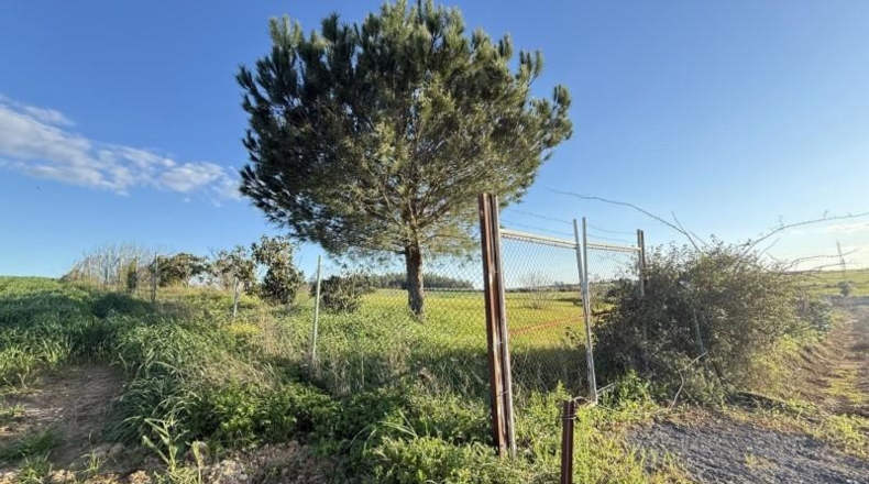 Huelva - Gibraleón - 5324m2