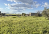 Non-developable land for sale on España, Gibraleón, ref: TR228283 photo