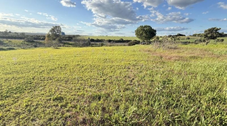 Huelva - Gibraleón - 5324m2