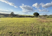 Non-developable land for sale on España, Gibraleón, ref: TR228283 photo